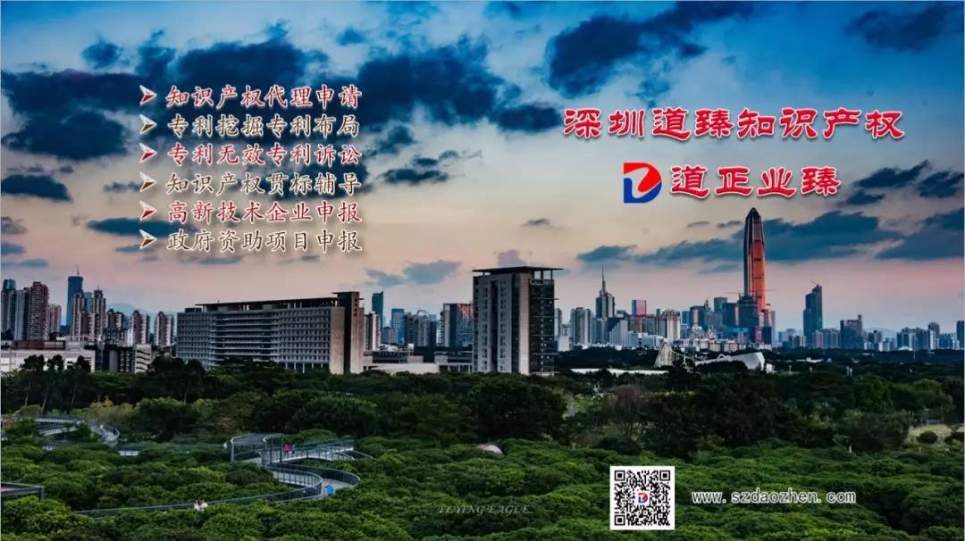 第17次無效，這個小小自拍桿仍巍然聳立「附無效決定書」